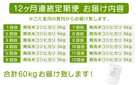 [051-k001] 定期便 無洗米 コシヒカリ 5kg × 12回