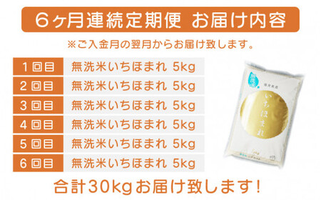 [051-g001] 定期便 無洗米 いちほまれ 5kg × 6回