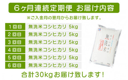 [051-f002] 定期便 無洗米 コシヒカリ 5kg × 6回