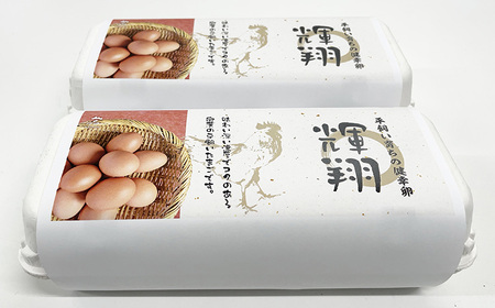 【3ヶ月定期便】黄身は濃厚、白身あっさり爽やか こだわり卵【輝翔卵】20玉×3ヶ月 合計60玉 ※着日指定不可 ※離島への配送不可