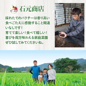 初心者も安心のお野菜栽培キット(パクチーの種付き)四万十の豊かな土壌を再現！！／Fis-B01 趣味 ガーデニング 家庭菜園 園芸 ベランダ菜園 プランター 種 パクチー パクチー種 培養土