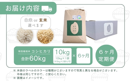 【先行予約】【令和7年産】 定期便 ≪6ヶ月連続お届け≫ 乳酸菌入りの土壌で育てた 福井県 坂井町産 特別栽培米コシヒカリ 10kg (白米) 【2025年10月上旬以降順次発送予定】 [K-4803_01]