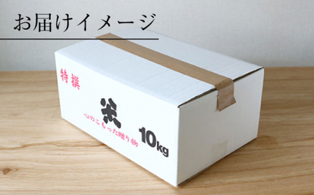 くまみのり 白米 10kg CBR013 白米