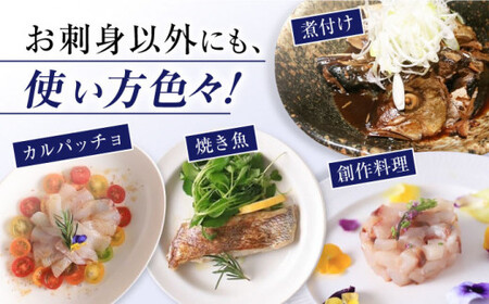 土日お届け シマアジ 堪能6点セットCBW012 アジ