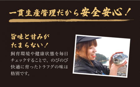 【下処理済み】とらふぐ ぶつ切り（約180g×2P）＜大島水産種苗＞ [CBW037] とらふぐ