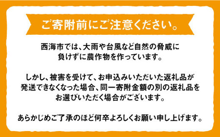 訳あり 温州みかん 5kg 優品 みかん CCF003