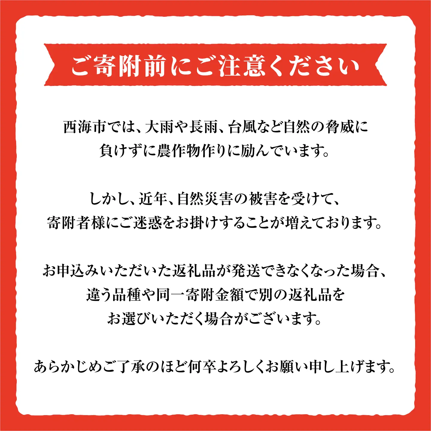 先行予約 訳ありトマト ルビーのしずく1.2kg | トマト ／CCK025