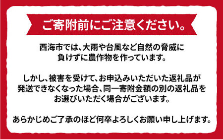 先行予約 原口みかん 優品 8kg 傷み保証分含む CCT002 みかん みかん