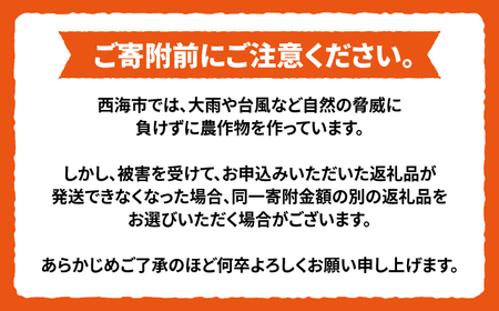 先行予約 石地みかん 優品 8kg 傷み保証分含む CCT006 みかん みかん