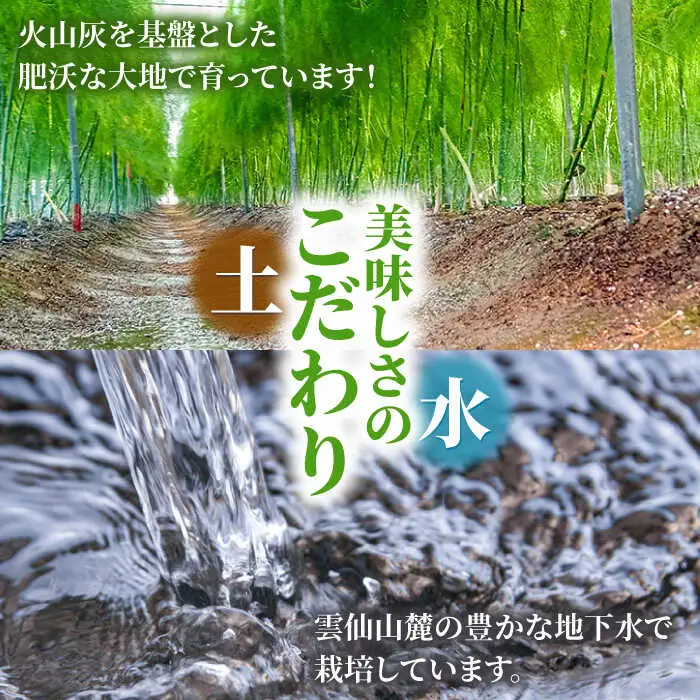 【2026年5月下旬-発送】【数量限定】【星のアスパラ】厳選 グリーン アスパラガス 約2kg / アスパラ アスパラガス 野菜 / 南島原市 / ほしのYA [SEY002]
