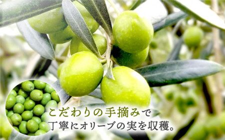 【数量限定】オリーブオイル 100g×2本 [CER001] オリーブオイル 希少
