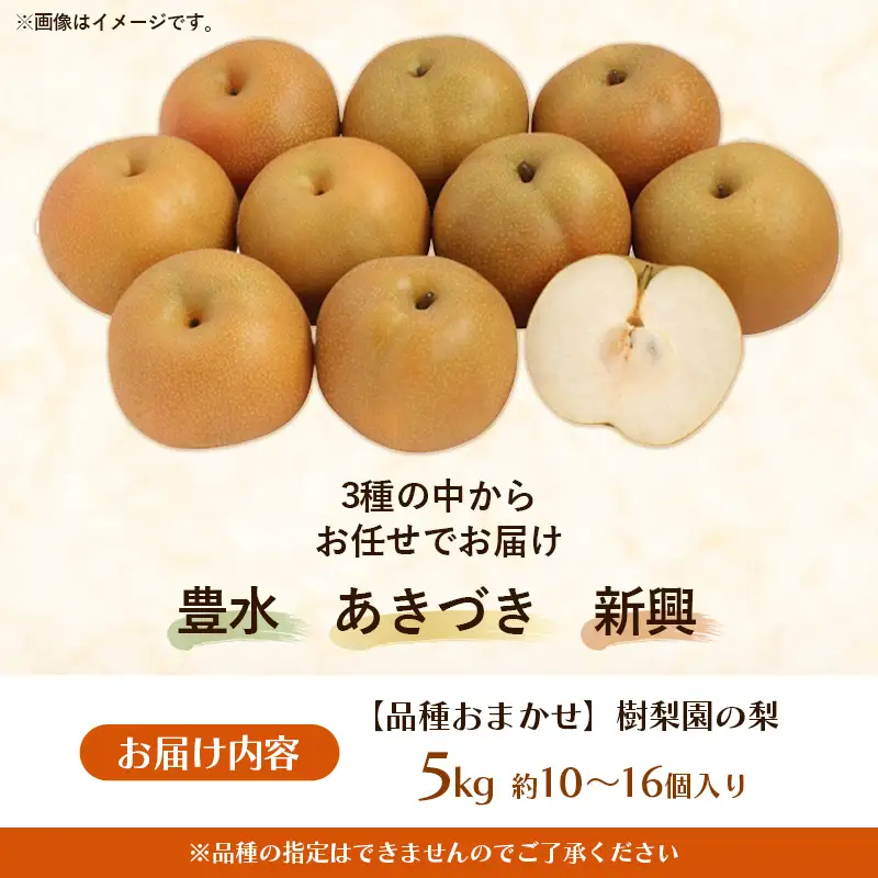 ＜品種おまかせ＞季節の梨 約5kg(10～16玉入り) 豊水 秋月 新興【梨 なし ナシ ほうすい あきづき しんこう フルーツ 果物 果実 旬 贈答 ギフト おすすめ 人気 おまかせ 福岡県 筑前町 送料無料 AK003】【価格改定X】