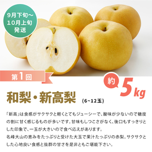 YN-06　和梨・洋梨　食べ比べ　定期便