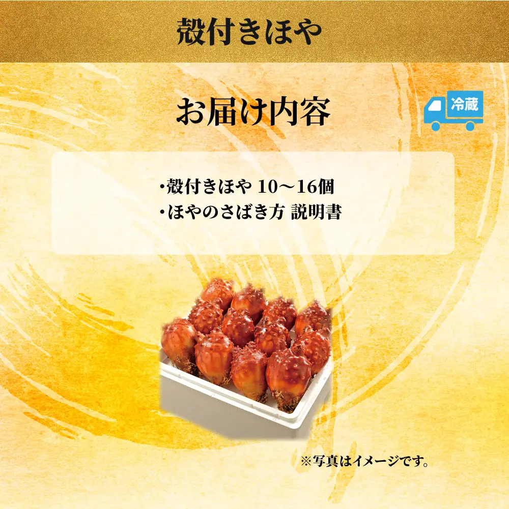 fn-39-019 殻付きほや 【5月中旬～7月末頃期間限定 お届け便】ヤマキイチ商店  珍味 三陸 刺身 魚介
