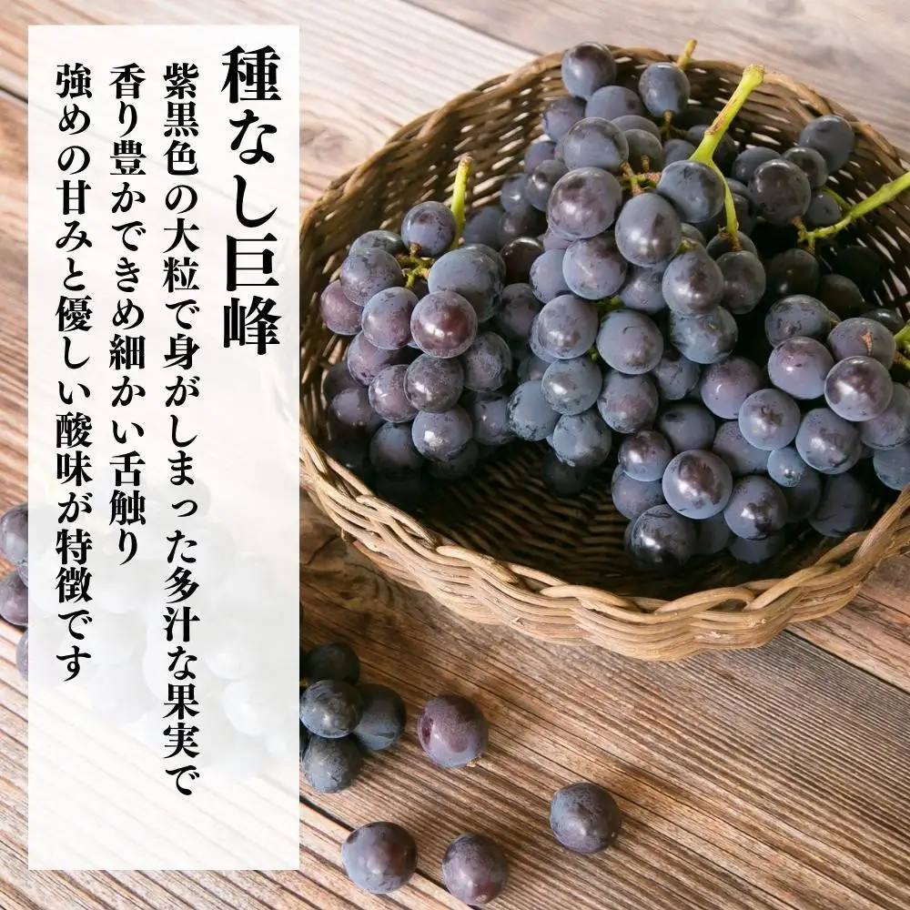 【先行予約】巨峰 種なし 有田巨峰村の巨峰 3kg( 5房 ～ 9房 ) 和歌山県産【2027年8月中旬～順次発送】【みかんの会】