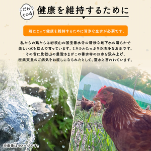 定期便 平飼い有精卵 滋賀竜王卵 30個 × 6ヵ月 ※割れ保証各3個 ( こんもり盛り上がるプルプルな卵白 滋賀竜王卵 新鮮 平飼い 卵 純国産 鶏もみじ 大人気 たまご 鶏卵 卵黄 エッグ 希少 たまごかけ ご飯 玉子 タマゴ 玉子焼き たまご焼き すき焼き 鶏 ケーキ 産地直送 国産 滋賀県 竜王町 ふるさと納税 )