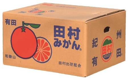 【予約受付】田村みかん 特選ギフト品 10kg【Sサイズ】赤秀 / 紀州和歌山有田郡湯浅町田村地区産 ◆2026年11月下旬～2027年1月中旬頃に順次発送予定(お届け日指定不可)　紀伊国屋文左衛門本舗 / 田村みかん みかん 蜜柑 柑橘 果物 フルーツ 【kmtb304C】