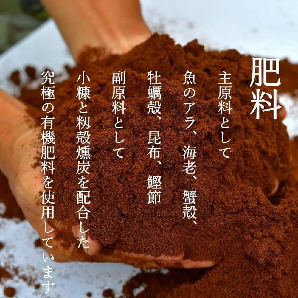 【年間定期便令和8年新米予約】南魚沼食味コンクール4年連続優秀賞　8割減農薬特別栽培米5kg×12回　南魚沼塩沢産コシヒカリ【2026年9月中旬から1ヶ月以内に順次発送予定】｜コシヒカリ