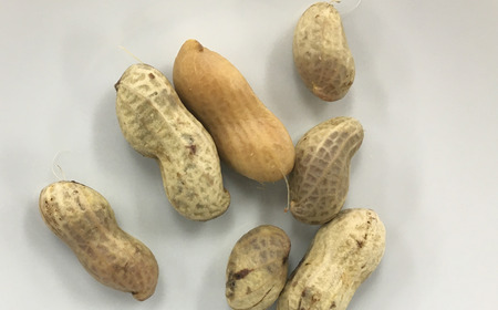 千葉県産茹で落花生700g（ナカテユタカ350g×2袋）冷凍 mi0012-0131
