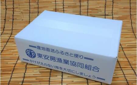 訳あり 伊勢エビ 加熱用 数量限定 一口 伊勢えび 80～100g程度 8尾 傷 天然 活締め 冷凍 個包装 伊勢海老 イセエビ えび エビ 海老 mi0014-0010