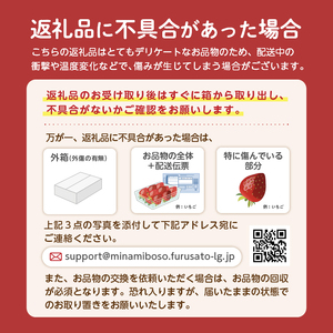 【TVで紹介！】千葉アクアメロン(マスクメロン)2玉【まとめてお届け】 mi0018-0003