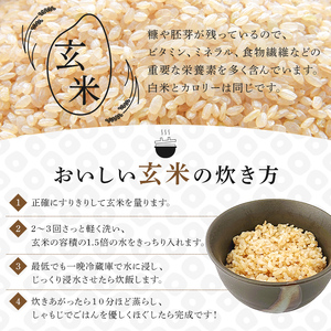 【2023年産】環境保全型コシヒカリ 玄米　5kg mi0036-0011