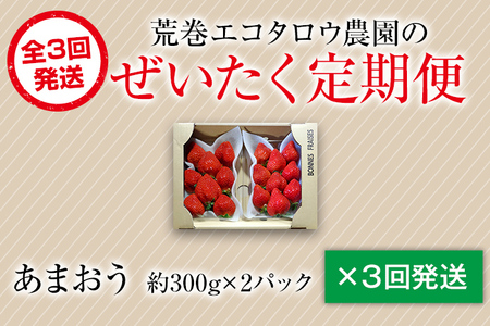荒巻エコタロウ農園のぜいたく定期便（あまおう約300g×3回）【2026年2月～3月】　BJ08
