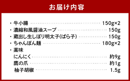 博多明太もつ鍋セット　2～3人前 _KBC1105