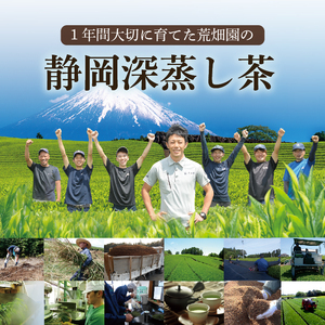 048-79　静岡牧之原市ブランド茶　望　銀印　100ｇ　4袋
