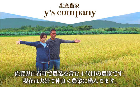 先行予約 6回定期便 令和8年産 さがびより（白米） 5kg / 白米 2026年11月～発送 [IAS016]