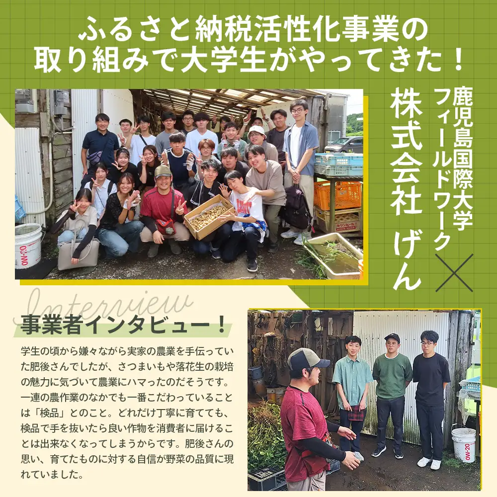 【先行予約：2026年9月中旬配送～】掘りたて さつまいも 紅はるか 3kg（Sサイズ）レシピ付き FR-201 | 秋の味覚 2026年秋収穫 新物 さつまいも サツマイモ 感動サツマイモ 焼き芋 べにはるか 小ぶり 野菜 おやつ おかず お弁当 煮物 芋ごはん 味噌汁 産地直送 鹿児島県 南大隅町 株式会社フォレスト