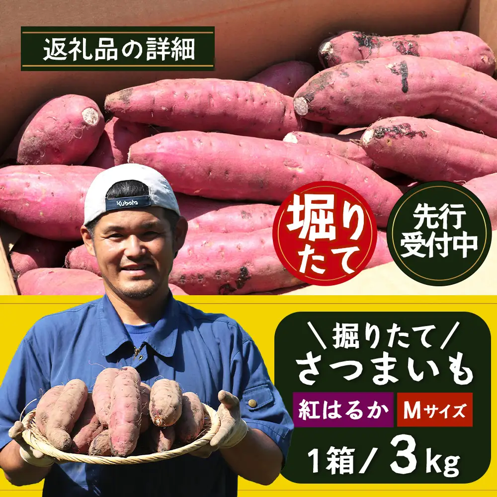 【先行予約：2026年9月中旬配送～】掘りたて さつまいも 紅はるか 3kg Mサイズ (自宅で簡単レシピ付き）FR-203 | 秋の味覚 2026年秋収穫 新物 さつまいも サツマイモ 感動サツマイモ 焼き芋 べにはるか 使いやすい 野菜 おやつ おかず お弁当 煮物 芋ごはん 味噌汁 産地直送 鹿児島県 南大隅町 株式会社フォレスト