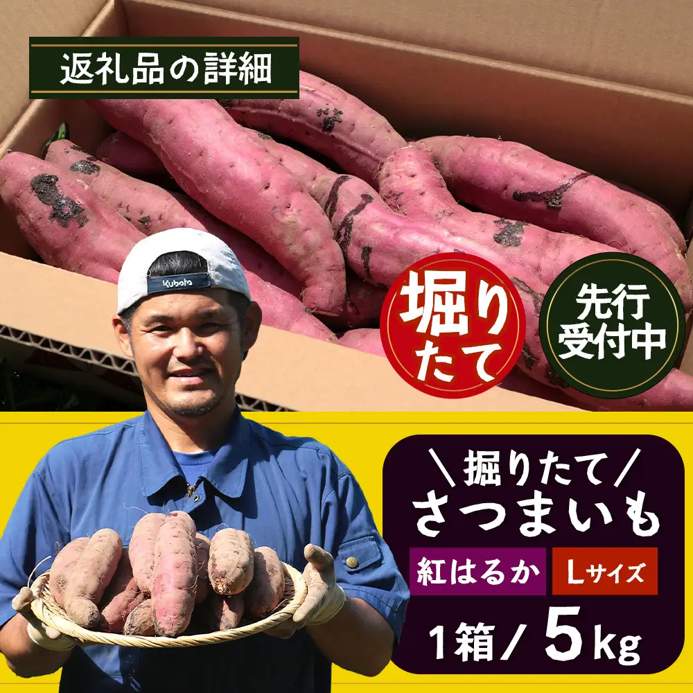 【先行予約：2026年9月中旬配送～】掘りたて さつまいも 紅はるか 5kg Lサイズ (おすそ分け袋／自宅で簡単レシピ付き）FR-532 | 秋の味覚 2026年秋収穫 新物 さつまいも サツマイモ 感動サツマイモ 焼き芋 べにはるか 大きめ 野菜 おやつ おかず お弁当 煮物 芋ごはん 味噌汁 産地直送 鹿児島県 南大隅町 株式会社フォレスト