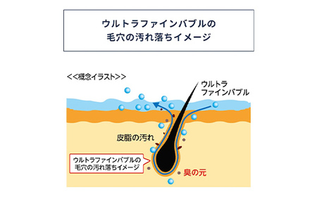 バブルマイスター 全自動洗濯機用・バブルマイスター シャワーヘッドセット ウルトラファインバブル  工事不要 お風呂 バス用品 バスグッズ  毛穴 美容 洗濯機 洗濯槽 生乾き 臭い 頑固な汚れ 日本製 F4F-2631
