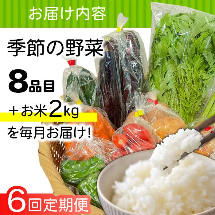 【6回定期便】直売所より発送！お米と季節の野菜セット 8品目 / 米 こめ 白米 野菜定期便 やさい定期便 野菜 やさい 旬 詰め合わせ / 南島原市 / ながさき南部生産組合 [SBW014]