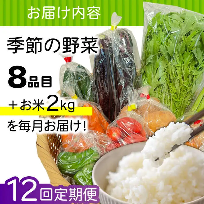 【12回定期便】野菜定期便 お米と季節のやさい 8品目 野菜 定期便 / ながさき南部 [SBW015]