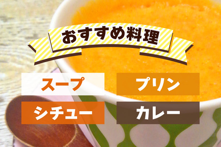 バターナッツかぼちゃ 20kg [数量限定／期間限定] 8月下旬より順次発送｜南瓜 カボチャ 産地直送 農家直送 野菜 甘楽町産 群馬県産 吉田農場 先行予約 [0215]