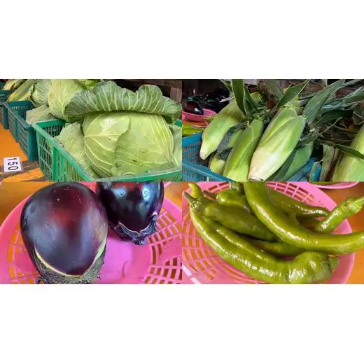 【 8月下旬発送開始 】 嬬恋キャベツ と旬の 高原 野菜 セット 1～2人 様向け [AK001tu]