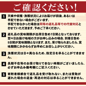 【朝どれ直送】筋子 生筋子 500g 令和8年産 いくら J51_05