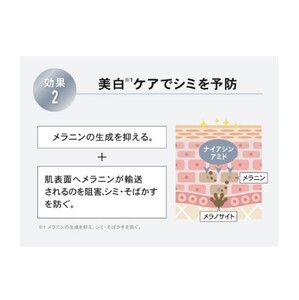 美容セット NALC 薬用 ホワイトリンクル 化粧水 美容液 乳液 美容セット