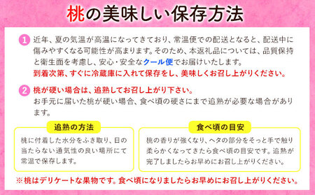【2027年発送】桃 岡山の桃 約1kg