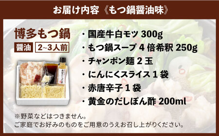 もつ鍋 博多の味本舗 醤油味＆博多水炊き 2-3人前 [ABCY013] もつ鍋
