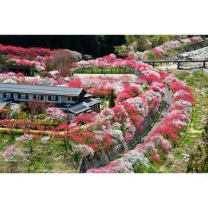 【阿智村】JTBふるさと旅行券（90,000円分）有効期間5年 | 予約 宿泊 観光 体験 温泉 ホテル 旅館 チケット 子供 子連れ カップル 家族 店頭 電話 阿智村