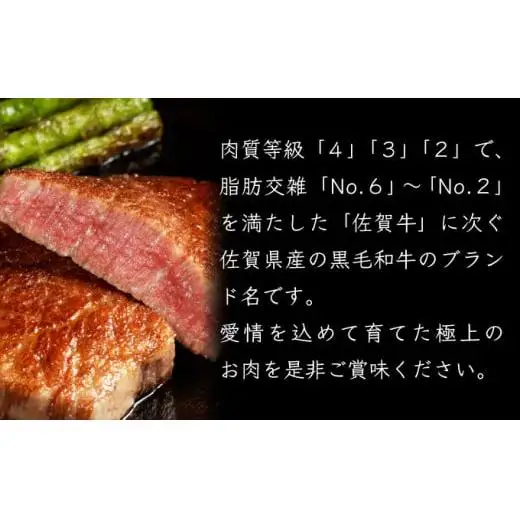 500g【佐賀産和牛】特選カルビ焼肉用　B-1013