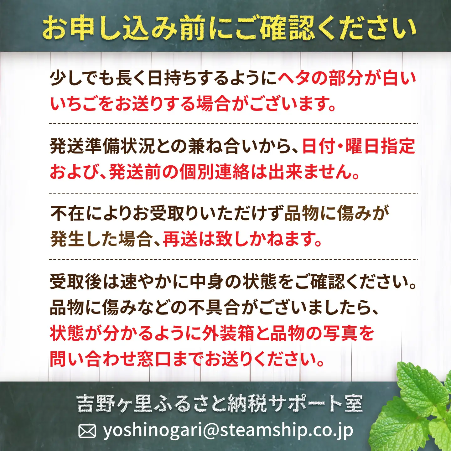 12月から4月発送 いちごさん 約800g いちご 苺[FDF001]