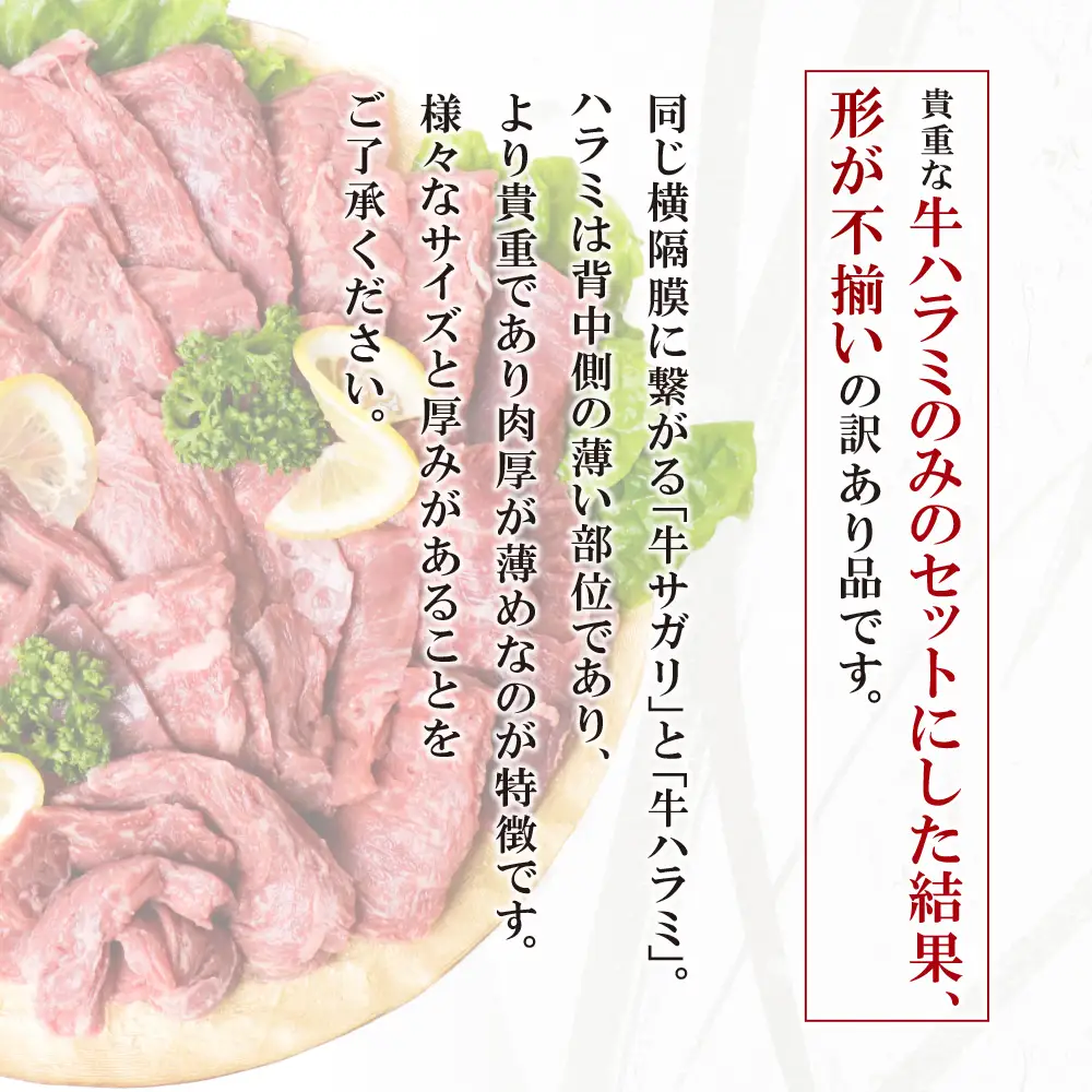 Z61-46 【訳あり】牛ハラミ肉2種(旨辛ダレ、ねぎ塩) 1.2kg 牛肉