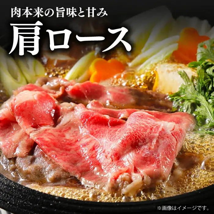 【6回定期便】【贅沢霜降り】 長崎和牛 肩ロース 300g [DBL012]   すき焼き用牛肉