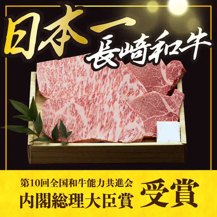 【12回定期便】 長崎和牛2種 ステーキ食べ比べ [DBK005] お肉 定期便 12回