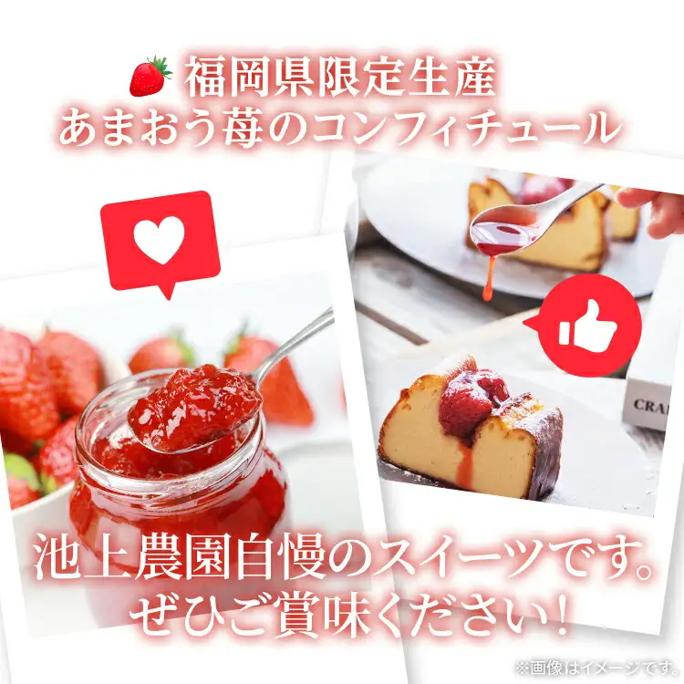 あまおうコンフィチュール120ｇ×5瓶　BD12