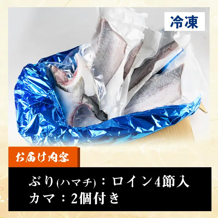 【先行予約】鹿児島県産 ぶり 切り身 2kg ぶり【00-117-02】